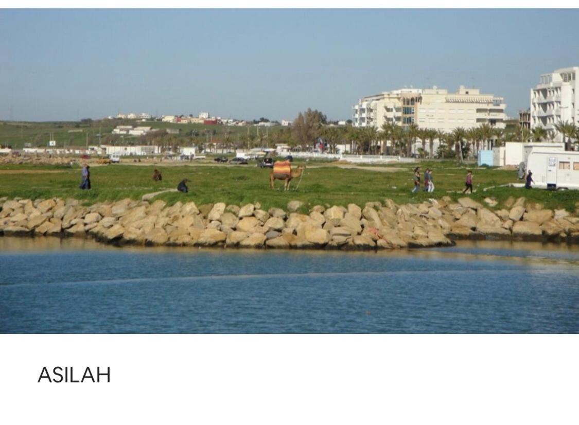 BriechTanger/Asilah: Appart 50M2 Face Mer Et Piscines, 5 Places, Tout Equipe+Wifi+Climアパートメント エクステリア 写真